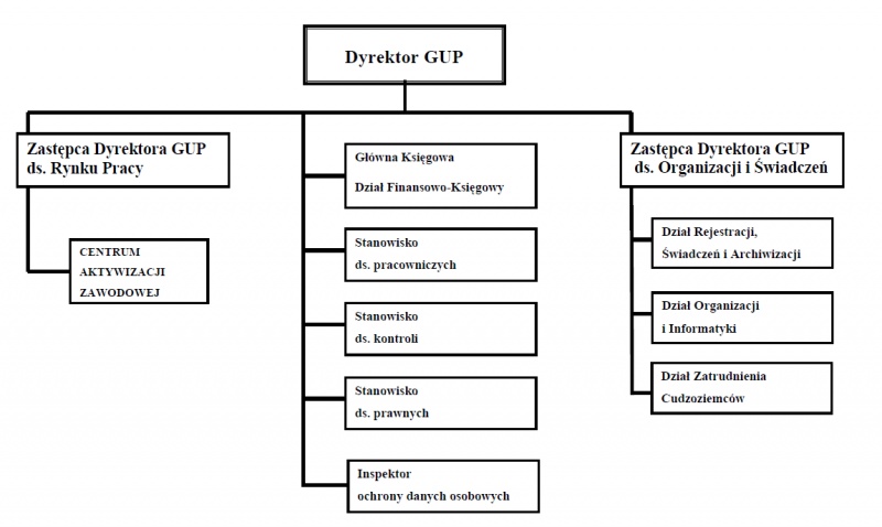Na zdjęciu rozrysowana struktura organizacyjna urzędu pracy